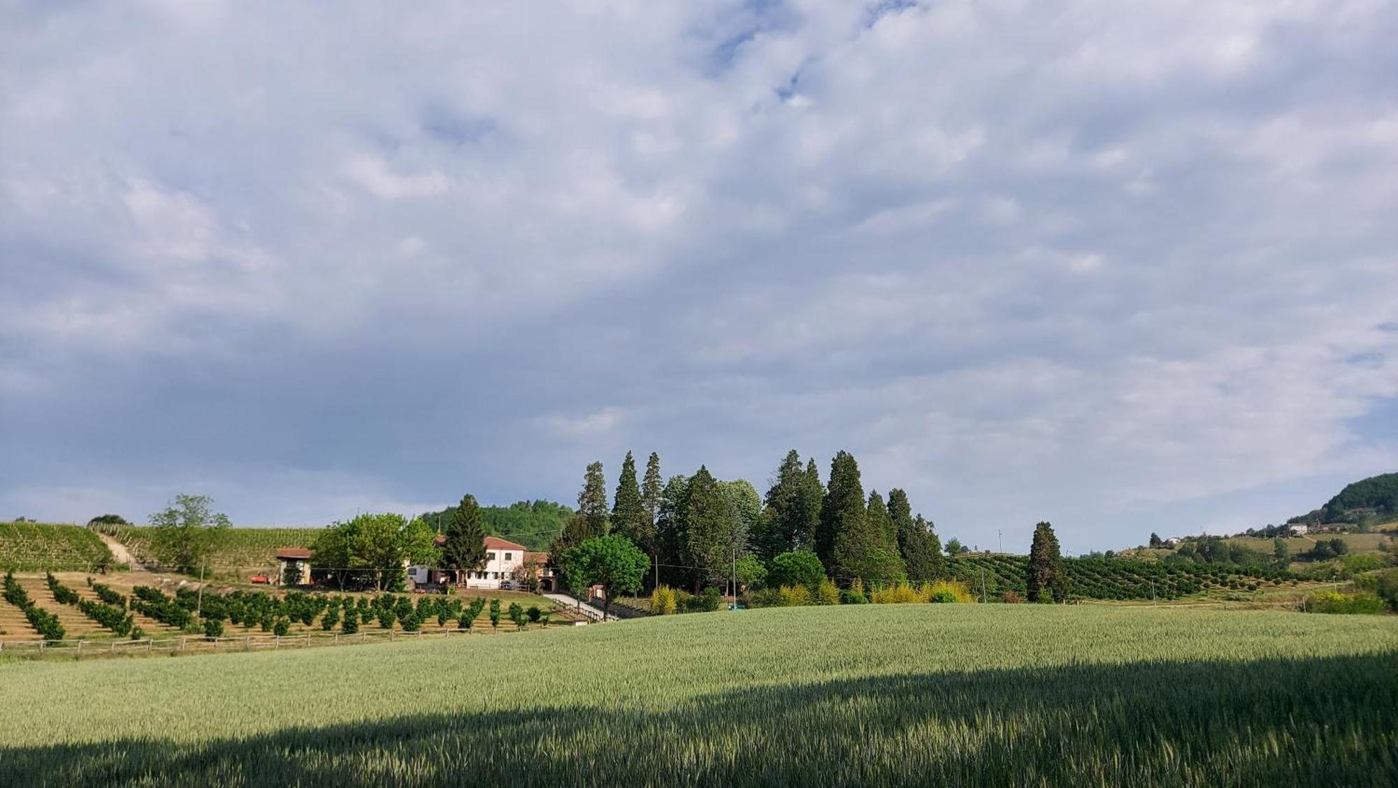 Caffarelli Monastero Bormida